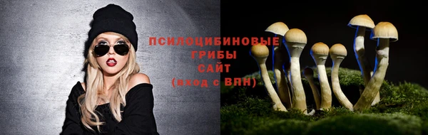 mix Аркадак