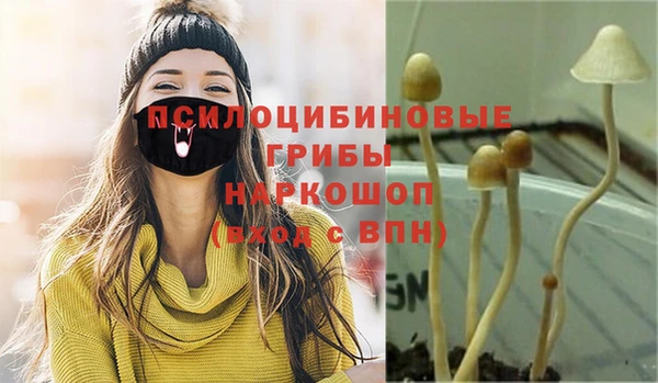 mix Аркадак
